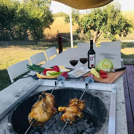 Homoki Wellness Ueduelohaz