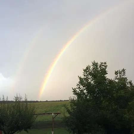 Homoki Wellness Balatonakarattya