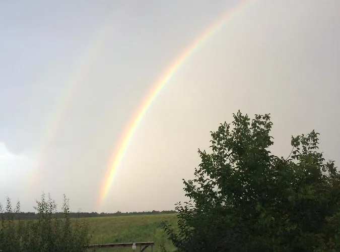 Homoki Wellness Ueduelohaz בלטונקראטיה